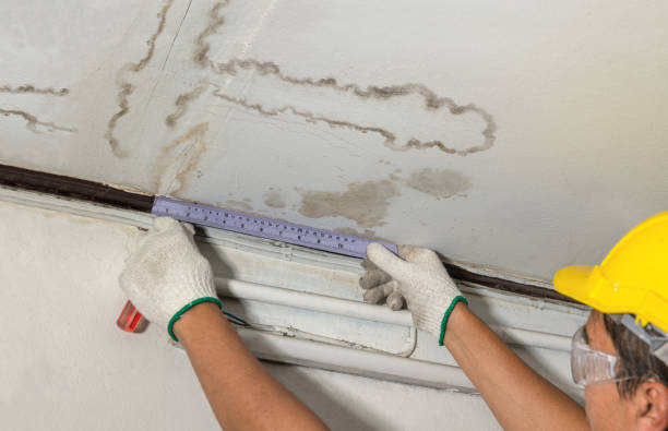 Reliable Mold Remediation contractor in Osseo, MI by Local Water Damage Repair